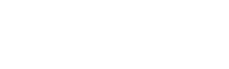 W News Logosu